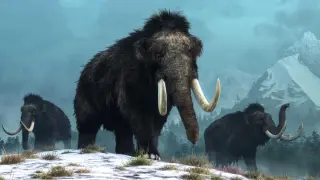 Construction in Czech Republic Uncovers 27,000-Year-Old Mammoth Hunting Ground