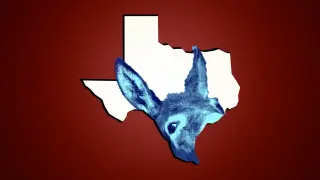 Democrats Bet on Texas Flip to Retake Senate Amid Noisy Polls