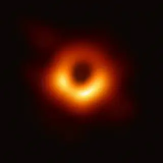 Topology Reveals Global Shape of Black Hole Thermodynamics