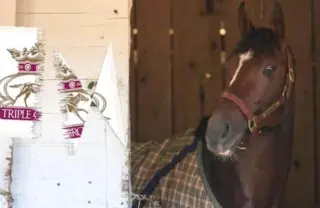Churchill Downs' Big Bet to Elevate the Preakness and Revive the Triple Crown