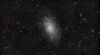 Dark Matter’s Hidden Particle Puzzle: Gravity Speaks, Detectors Silence