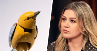 Brooklyn shop sets $15 million price tag on 'Molly' bird after viral feud with Kelly Clarkson