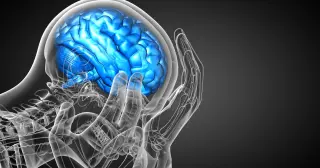 Big Amygdala, Subtle Bias: Brain Structure and Our Reactions to the Unknown