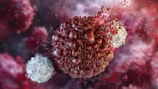 Engineered immune progenitors offer endless supply of cancer-fighting cells