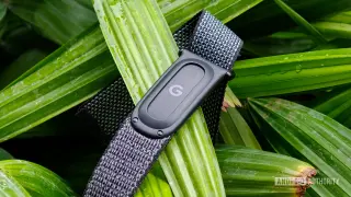 Featherweight Fitbit Air wins me over from WHOOP