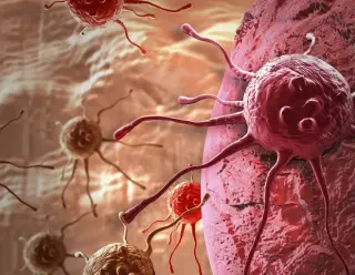 AI-Driven Blood Test Detects Liver Cancer Across Diverse Populations