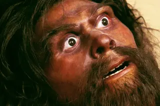 Neanderthal Infants Were Bigger and Grew Faster Than Modern Humans