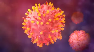 Arthritis drug stalls RSV growth in cells, hinting at a new antiviral path