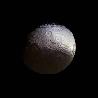 Cassini’s 1671 Discovery of Iapetus: The Origin of Saturn’s Yin-Yang Moon