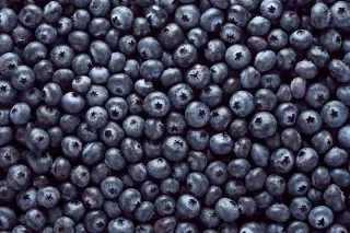 Eight-State Recall: Frozen GreenWise Blueberries Tied to E. coli Cases