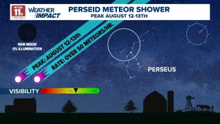 Perseids Set to Illuminate the Night Sky Before Dawn Thursday