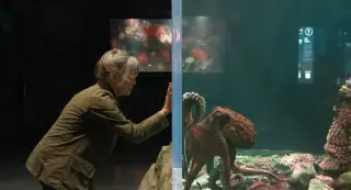 Sally Field Bonds With a Cranky Octopus in Netflix’s Healing ‘Remarkably Bright Creatures’