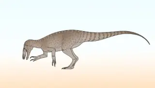New 83-Million-Year-Old Predator, Rinconraptor, Identified in Argentine Patagonia