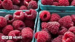 Mystery Cyclospora Outbreak Baffles U.S. Health Officials