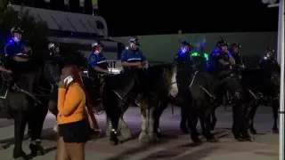 Final Night Brawls Erupt as Officer Is Punched at Wisconsin State Fair in West Allis