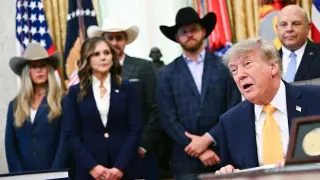 Beef Import Strategy Fails to Lower Prices, Deepening Rural GOP Backlash