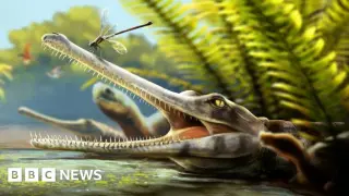 Moroccan Fossil Unveils 'Comb-Toothed' Crocodile Relative From 170 Million Years Ago