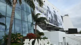 Medical Emergency Briefly Halts Cannes Screening of Almodóvar's Bitter Christmas