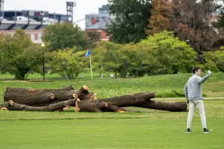 NPS Begins Massive Tree Removal at Historic DC Golf Course Amid Redesign Dispute