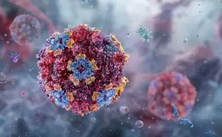 Norovirus Hotspots Visualized Across the U.S.
