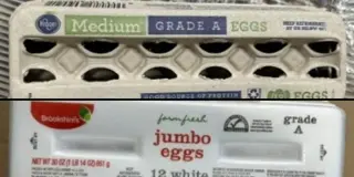FDA Escalates Egg Recall to Class I Over Salmonella Alarms