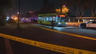Culver City Bus Driver Fatally Shot by Passenger in Mar Vista Dispute