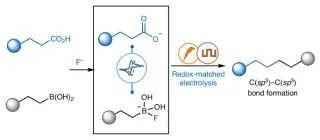 Northwestern Chemists Unlock Direct Radical Coupling of Acids and Borons