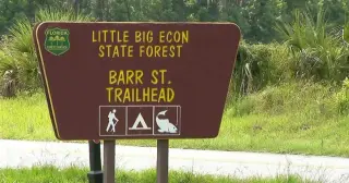 Alligator attack in Central Florida river kills hiker near Orlando