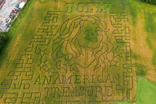 Dolly Parton-inspired corn maze draws fans to rural farms