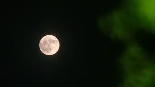 Buck Moon Lights Up July Skies With Wednesday Peak