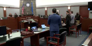 Canadian Man Convicted of Animal Cruelty for Stealing Las Vegas Flamingo