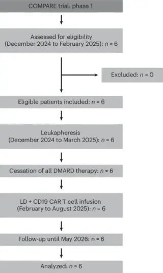 CD19 CAR T therapy yields B cell depletion and clinical improvement in refractory seropositive RA (phase 1)