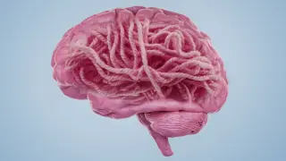 Alzheimer’s under scrutiny: the amyloid hypothesis hits a turning point