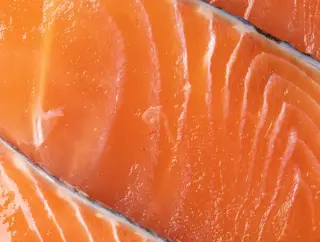 Ancient Salmon Cans Hint at Ocean Health