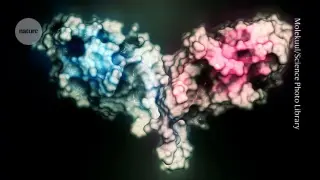 Open-source AI atlas maps 1.1B protein structures, widening the protein universe