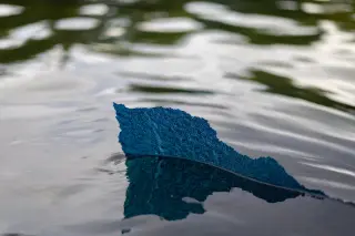 Blue Paint Peels from the Reflecting Pool as Algae Cleanup Persists After $14M Renovation