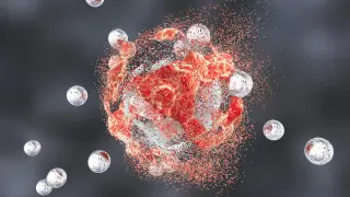 Gamma Delta T Cells Identified as Key to Defeating Small Cell Lung Cancer