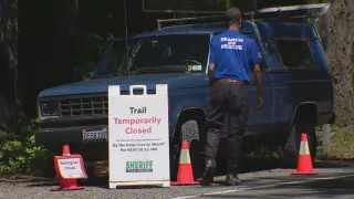 Bear Attack on Mount Si Triggers Trail Closure as Teens Injured