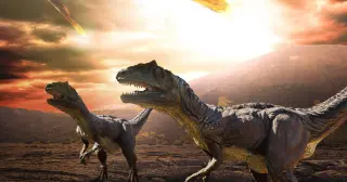 End-Cretaceous Extinction Hinged on Ground Beneath Chicxulub