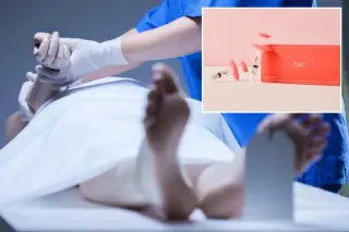 Cadaver-Skin Booster Aims to Reset Facial Aging
