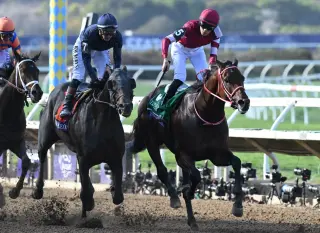Forever Young Heads Seven-Hop Field in Jockey Club Gold Cup at Belmont