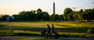 Fact-check: No evidence 60 cherry trees were cut for East Potomac golf project