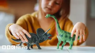 The $30 Toy Journey: From Dongguan Factories to US Shelves