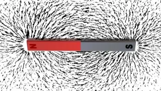UCF Team Confirms Altermagnetism in Layered Cobalt-Tantalum-Selenium Compound