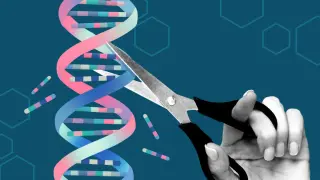 AlphaFold-guided tweaks reduce CRISPR off-target edits while preserving accuracy