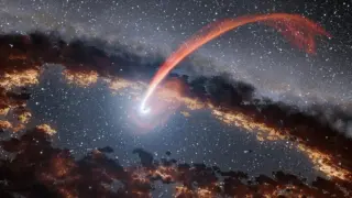 Black Holes Regurgitate Their Meals: Real-Time Gas Expulsions Revealed