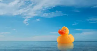 Floatees Forecast: How 28,800 Rubber Ducks Mapped the Ocean