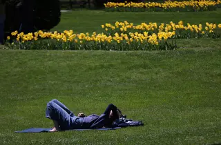 Cool spring delays pollen release, but New England allergy season stays high into summer