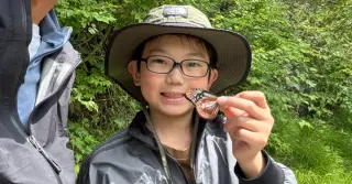 Ten-Year-Old Discovers Butterflies Remember — and Possibly Pass Memories to Their Young