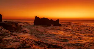 Mars rocks harbor robust organic carbon, but life remains unproven